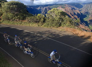 Waimea Canyon Downhill Bike Tour